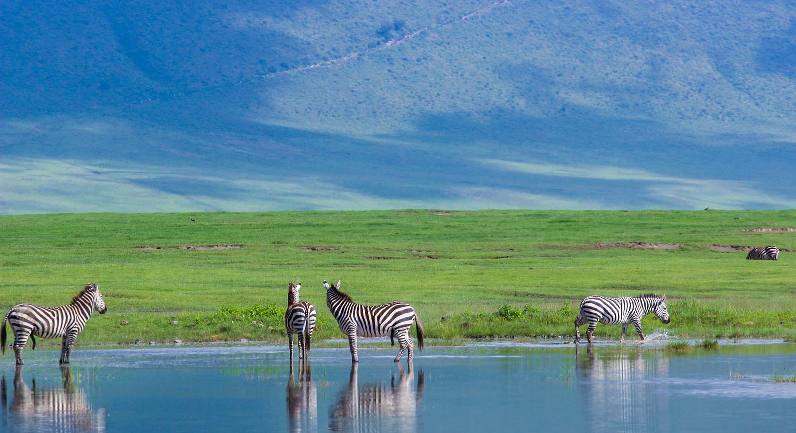 Explore the Wild in Style: 5-Day Luxury Tanzania Safari Covering All Major Parks