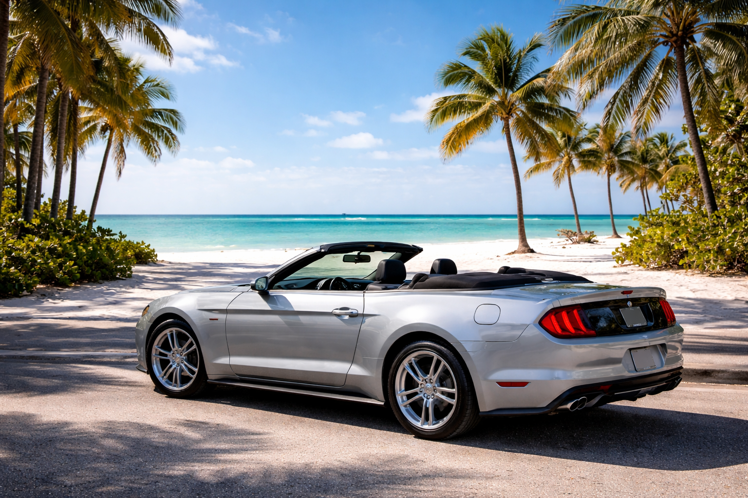 car rental services in Florida