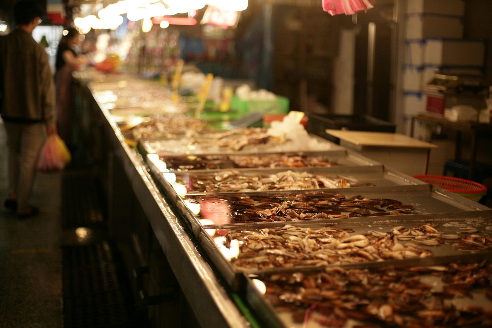 GSA at Seafood Expo Global 2026